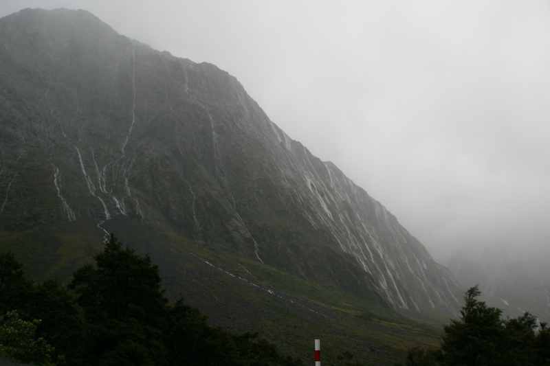 Nieuw-Zeeland 2011 - 1681